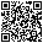 手机/微信访问网站